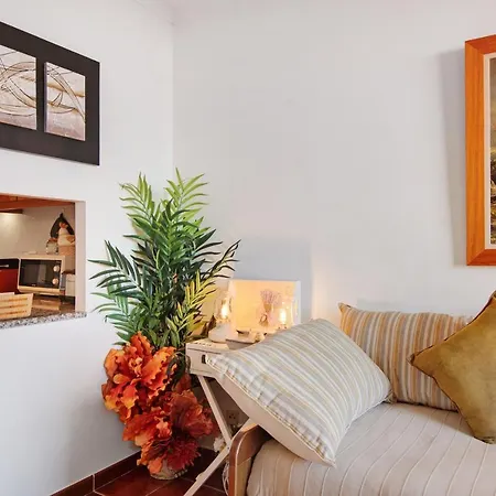 Anita * モンテ・ゴルド